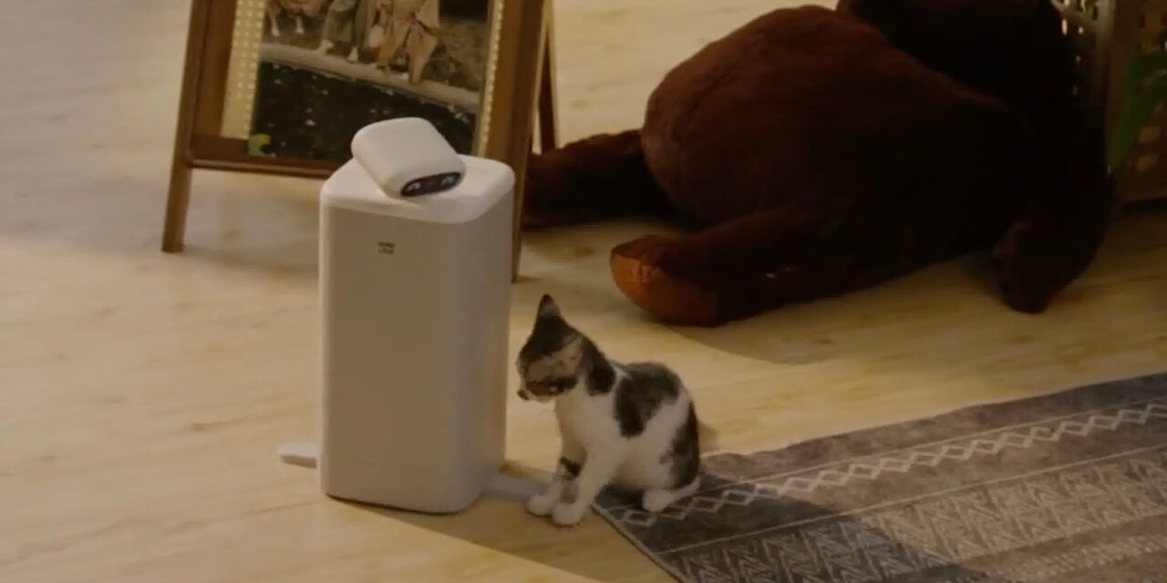 Se ha presentado el robot O Sitter. Es una niñera-compañera para gatos.