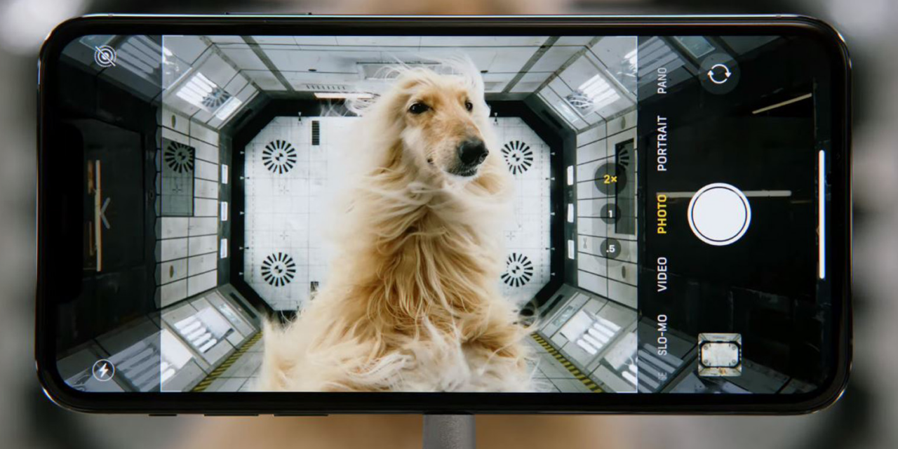 Apple convierte el iPhone en una cámara de seguimiento de mascotas