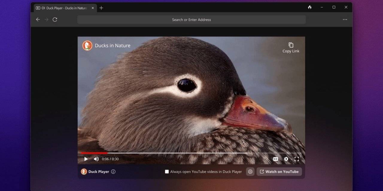 Ya está disponible el navegador DuckDuckGo para Windows. Ya está disponible para su descarga