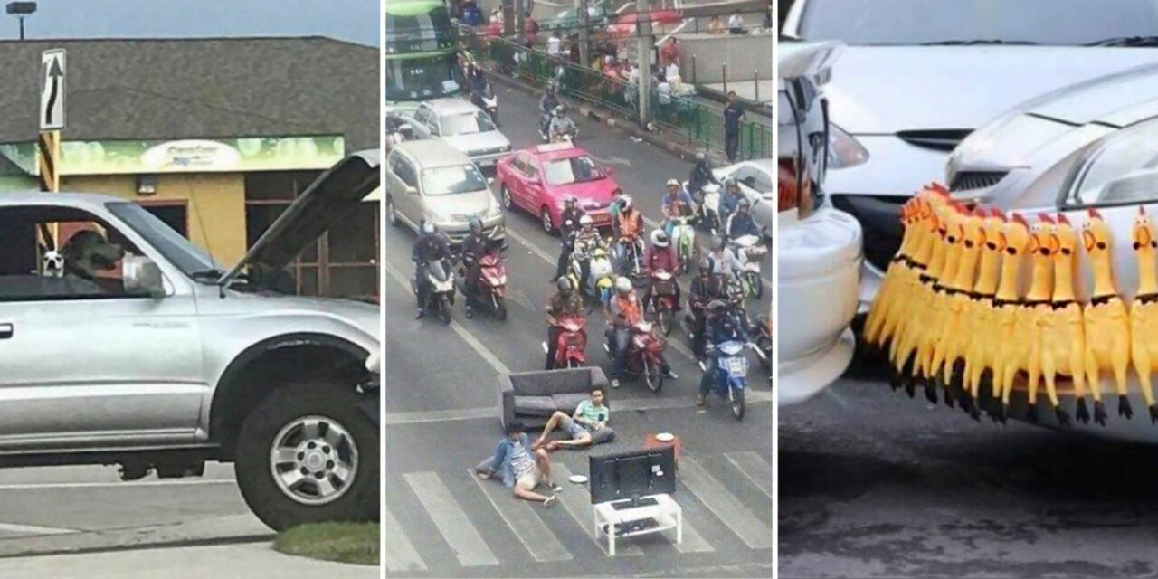 Incidente en la carretera: la Red mostró 16 divertidos incidentes en plena calle
