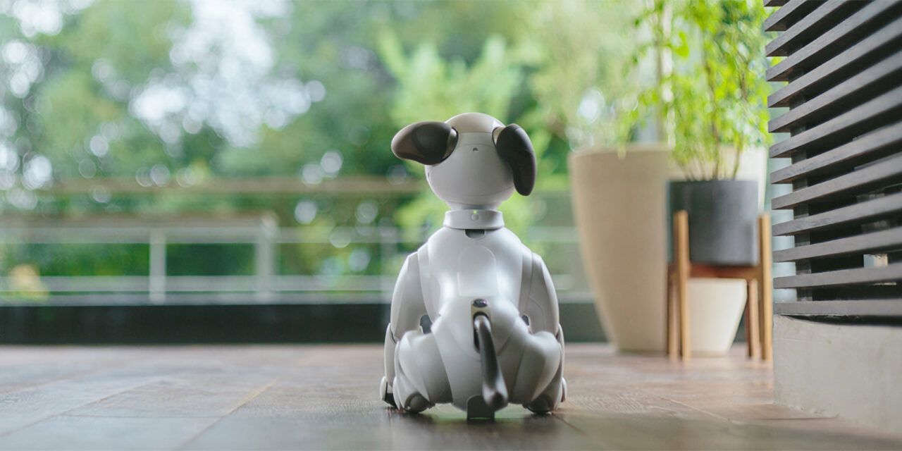 Sony encontrará un nuevo hogar para los perros robot Aibo no deseados