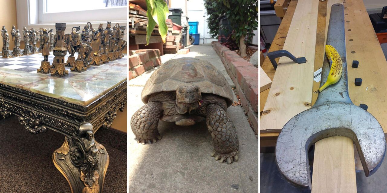 Desde una gran tortuga hasta un colgante masónico: 25 cosas insólitas que has heredado