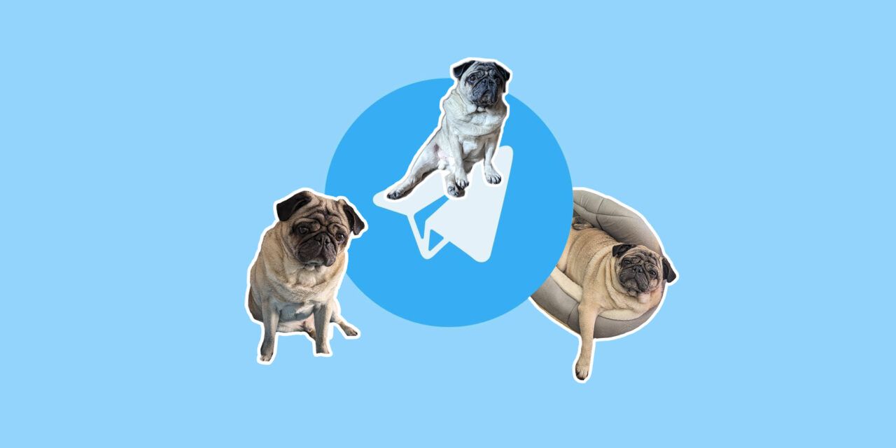 En Telegram, ahora puedes crear rápidamente stickers a partir de una foto eliminando el fondo. A continuación te explicamos cómo hacerlo