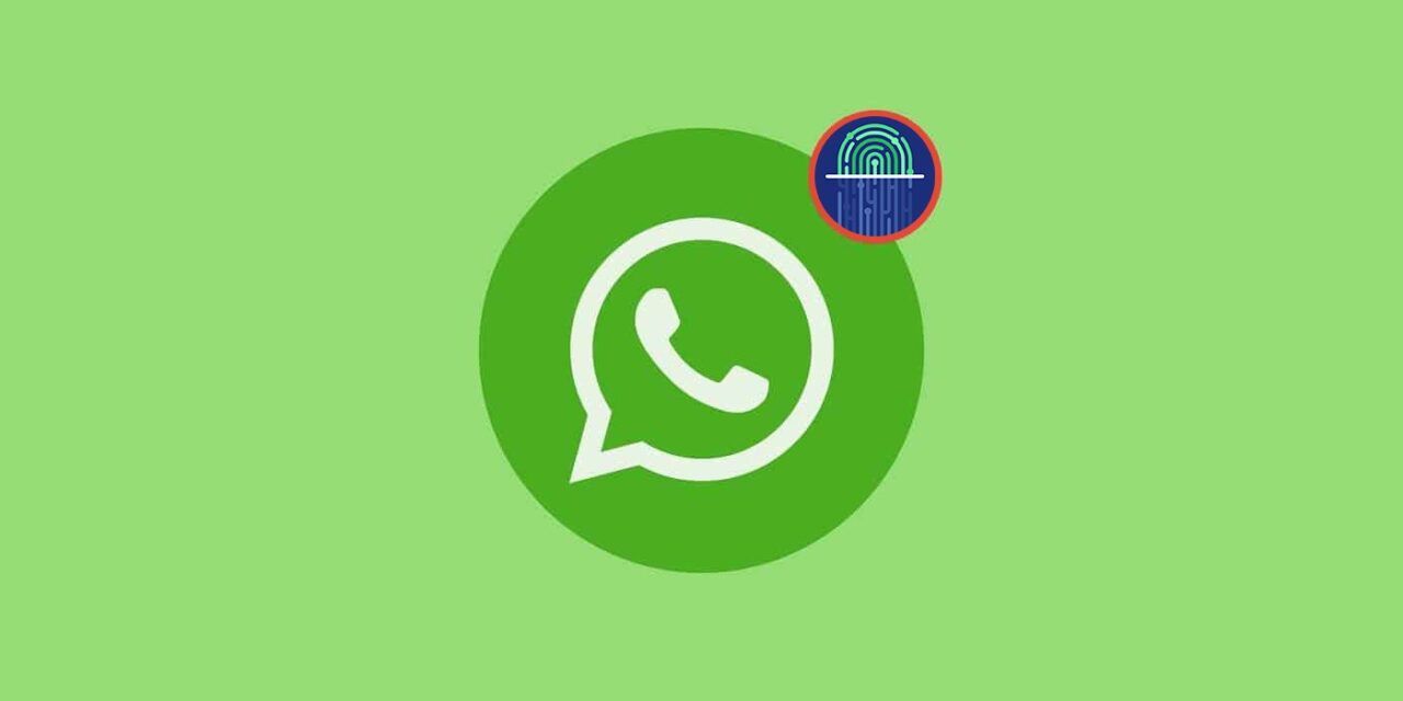 WhatsApp para iPhone y Pixel 8 / 8 Pro ha añadido el inicio de sesión sin contraseña en WhatsApp para iPhone y Pixel 8 / 8 Pro