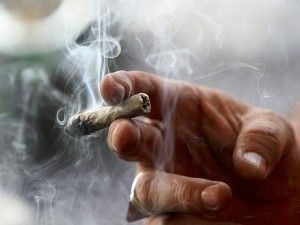 Informate: Estudian Legalizar Marihuana