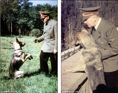 Los nazis querían enseñarles hablar a los perros