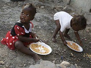 Ciudad haitiana prohíbe importar carne de cerdo y arroz desde RD
