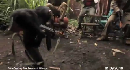 Vídeo chimpancé que dispara una AK-47