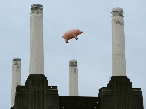 Homenaje a Pink Floyd con un cerdo volador