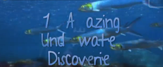 Los 10 descubrimientos bajo el agua mas sorprendentes